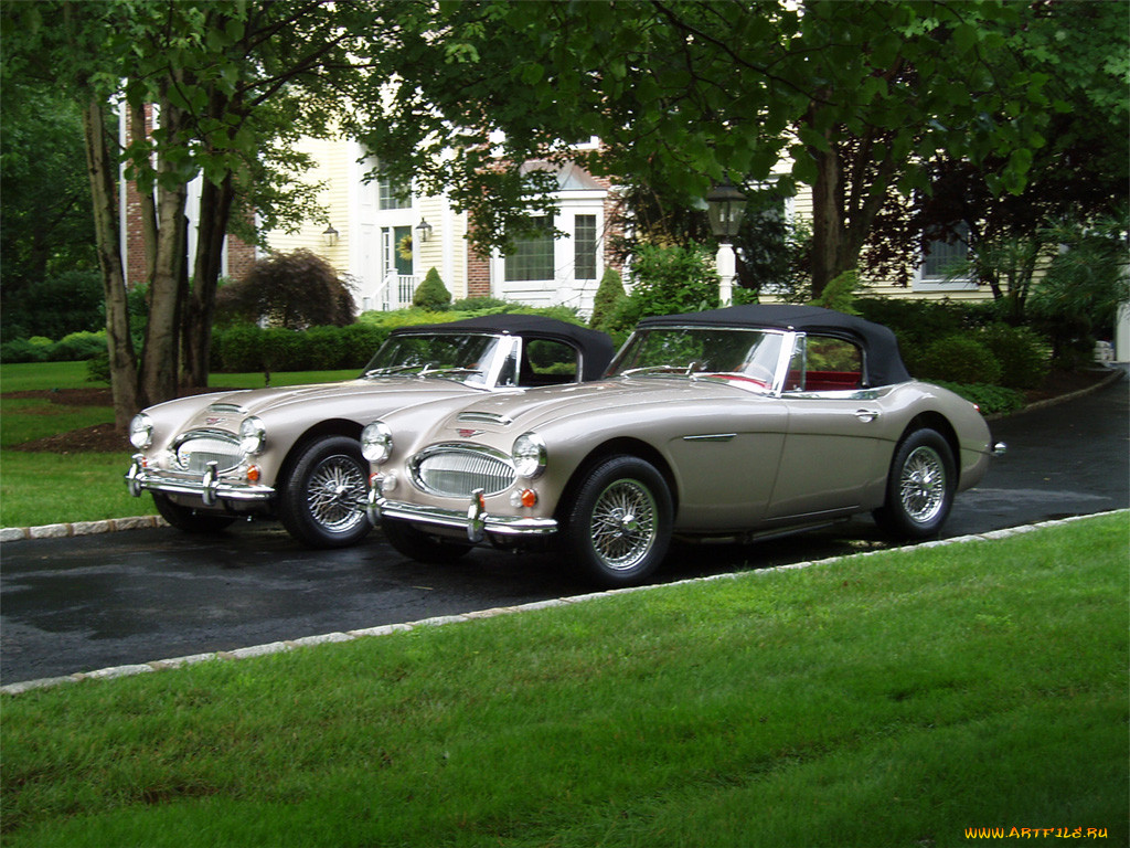 , austin, healy